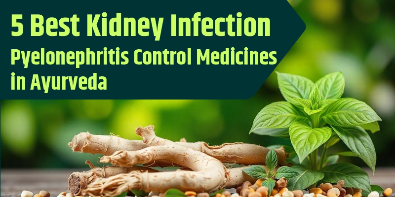 kidney-infection-control-medicines-in-ayurveda